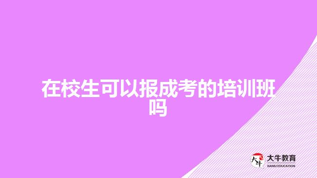 在校生可以報成考的培訓(xùn)班嗎