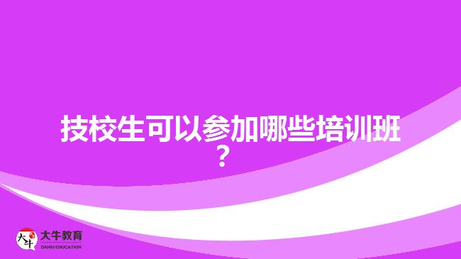 技校生可以參加哪些培訓(xùn)班？