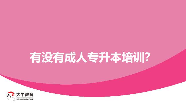 有沒(méi)有成人專升本培訓(xùn)？