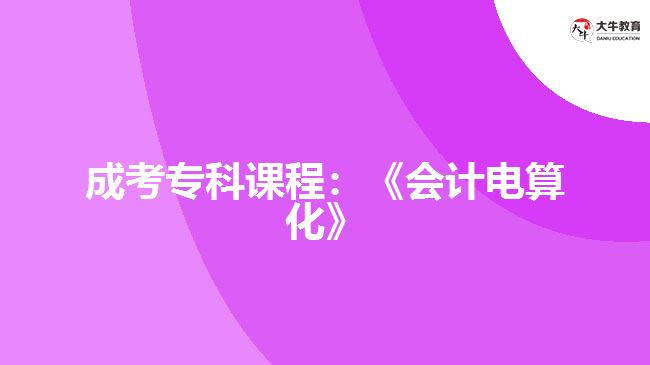 成考?？普n程：《會(huì)計(jì)電算化》
