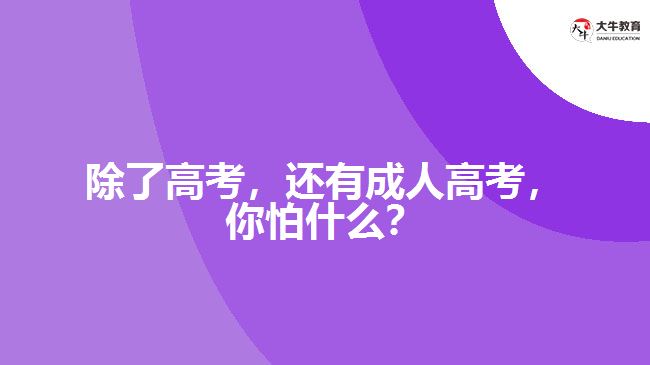 除了高考，還有成人高考，你怕什么？