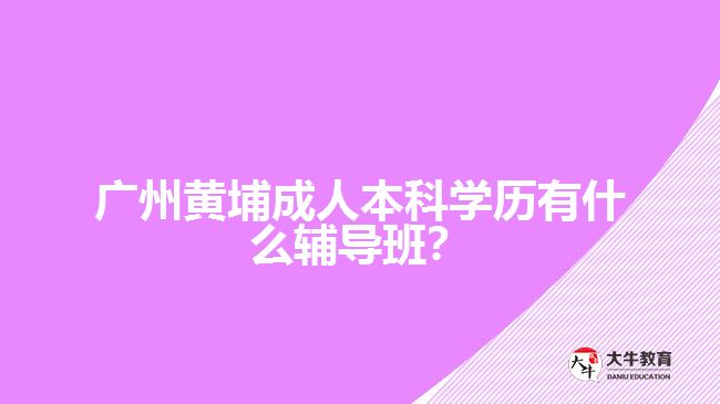 廣州黃埔成人本科學(xué)歷有什么輔導(dǎo)班？