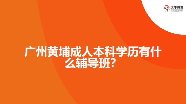廣州黃埔成人本科學(xué)歷有什么輔導(dǎo)班？