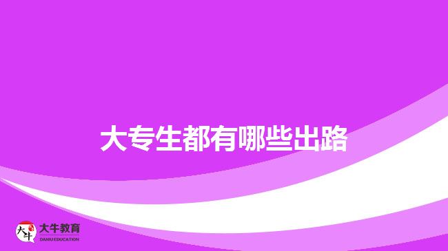 大專(zhuān)生都有哪些出路