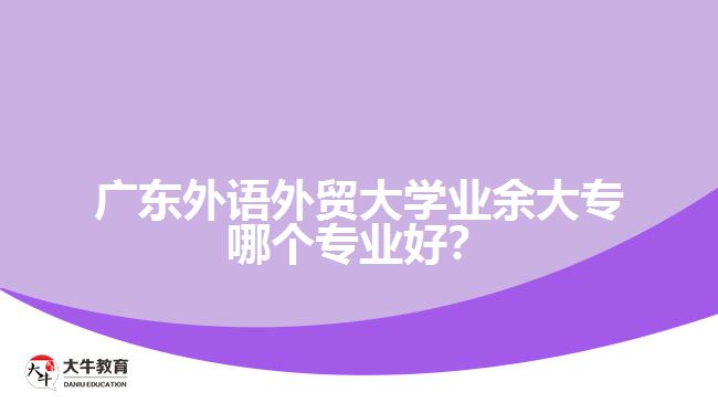 廣東外語(yǔ)外貿(mào)大學(xué)業(yè)余大專(zhuān)哪個(gè)專(zhuān)業(yè)好？