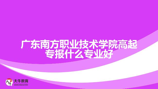 廣東南方職業(yè)技術(shù)學(xué)院高起專報什么專業(yè)好