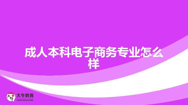 成人本科電子商務專業(yè)怎么樣