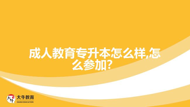 成人教育專升本怎么樣,怎么參加？