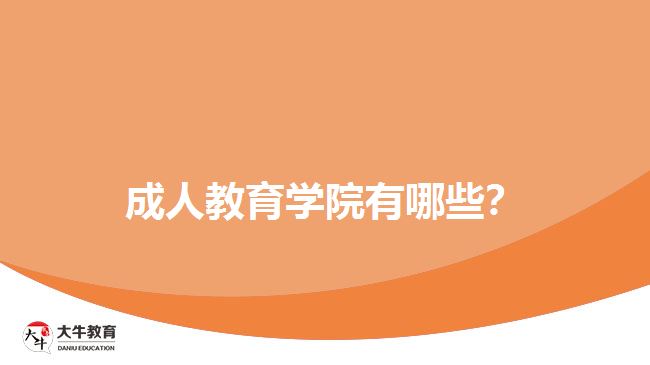 成人教育學(xué)院有哪些？