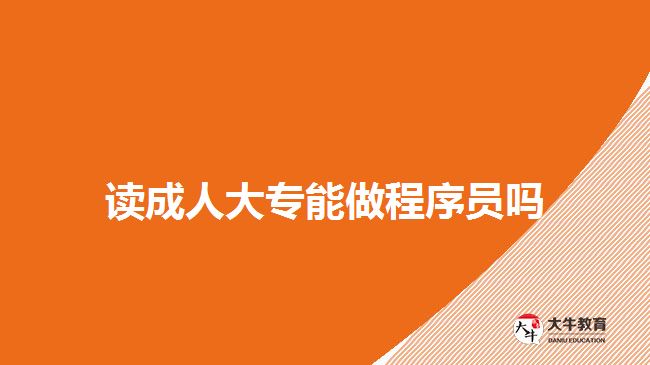讀成人大專(zhuān)能做程序員嗎