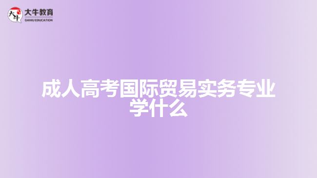 成人高考國際貿(mào)易實務專業(yè)學什么