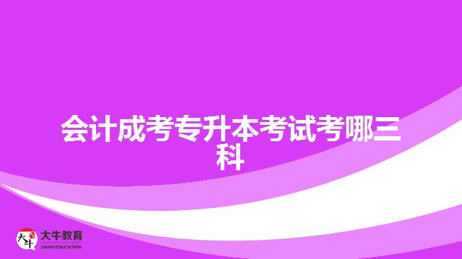 會(huì)計(jì)成考專(zhuān)升本考試考哪三科