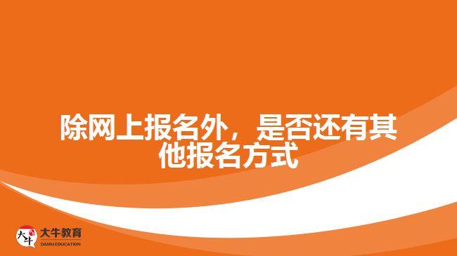 除網(wǎng)上報名外，是否還有其他報名方式