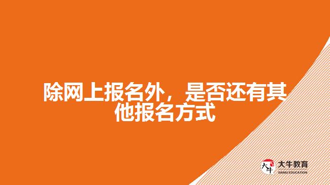 除網(wǎng)上報名外，是否還有其他報名方式