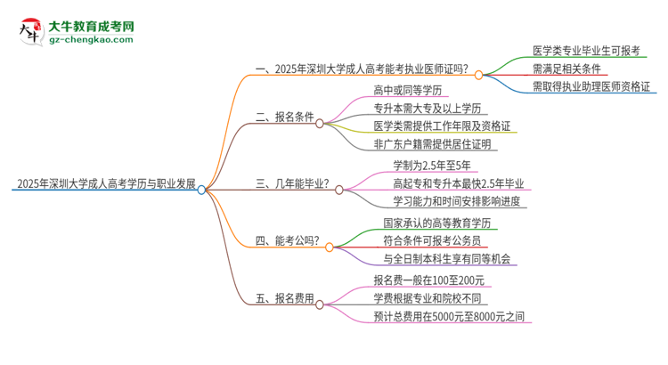 2025年深圳大學的成人高考學歷能報考執(zhí)業(yè)醫(yī)師證嗎？思維導圖