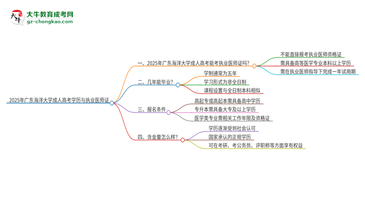 2025年廣東海洋大學(xué)的成人高考學(xué)歷能報(bào)考執(zhí)業(yè)醫(yī)師證嗎？思維導(dǎo)圖