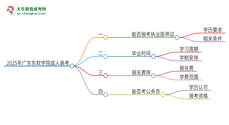 2025年廣東東軟學(xué)院的成人高考學(xué)歷能報(bào)考執(zhí)業(yè)醫(yī)師證嗎？思維導(dǎo)圖