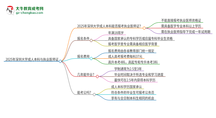 2025年深圳大學(xué)成人本科可否報(bào)考執(zhí)業(yè)醫(yī)師資格證？思維導(dǎo)圖