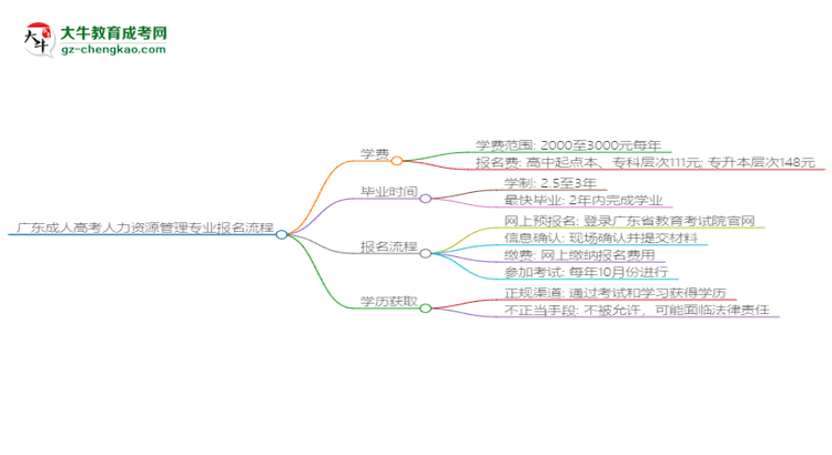 廣東成人高考人力資源管理專業(yè)2025年報(bào)名流程思維導(dǎo)圖