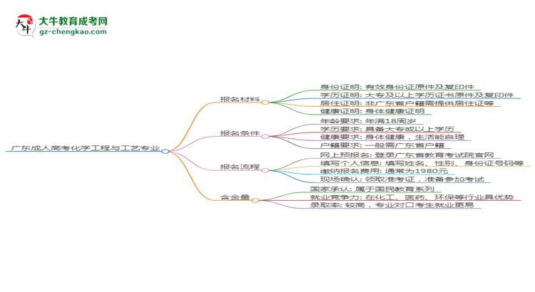 廣東2025年成人高考化學(xué)工程與工藝專業(yè)學(xué)歷能考公嗎？思維導(dǎo)圖