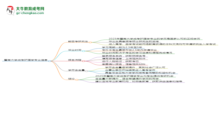 暨南大學2025年成考護理學專業(yè)能考研究生嗎？思維導圖