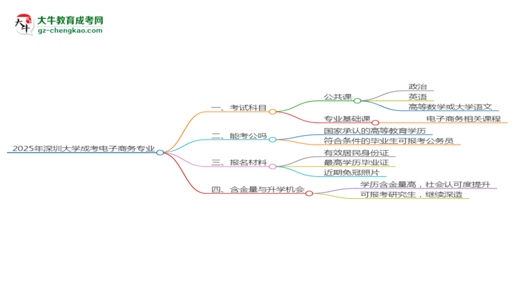 2025年深圳大學(xué)成考電子商務(wù)專業(yè)入學(xué)考試科目有哪些？思維導(dǎo)圖