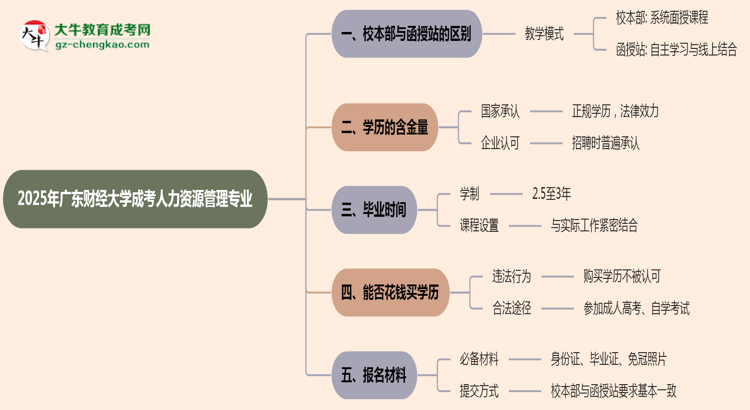 廣東財(cái)經(jīng)大學(xué)2025年成考人力資源管理專業(yè)校本部和函授站哪個(gè)更好？思維導(dǎo)圖