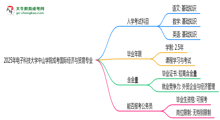 2025年電子科技大學(xué)中山學(xué)院成考國際經(jīng)濟(jì)與貿(mào)易專業(yè)入學(xué)考試科目有哪些？思維導(dǎo)圖