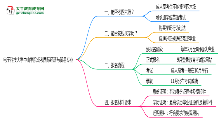 電子科技大學中山學院2025年成考國際經(jīng)濟與貿(mào)易專業(yè)生可不可以考四六級？思維導(dǎo)圖