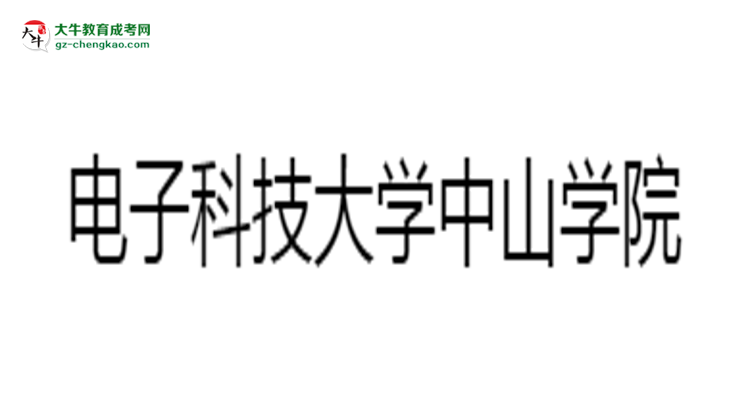 電子科技大學(xué)中山學(xué)院2025年成考財(cái)務(wù)管理專業(yè)生可不可以考四六級(jí)？思維導(dǎo)圖