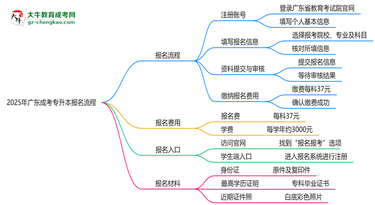 2025年廣東成考專升本報(bào)名流程：從注冊(cè)到繳費(fèi)全指南思維導(dǎo)圖