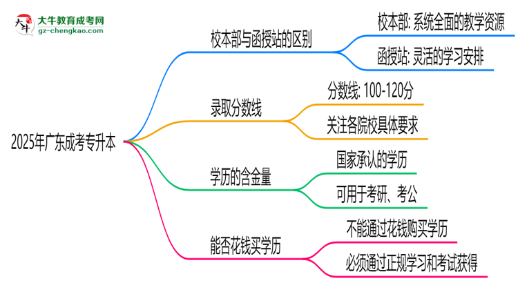 2025年報廣東成考專升本選校本部or函授站？區(qū)別解析思維導圖