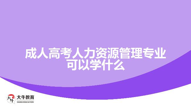 成人高考人力資源管理專業(yè)可以學(xué)什么