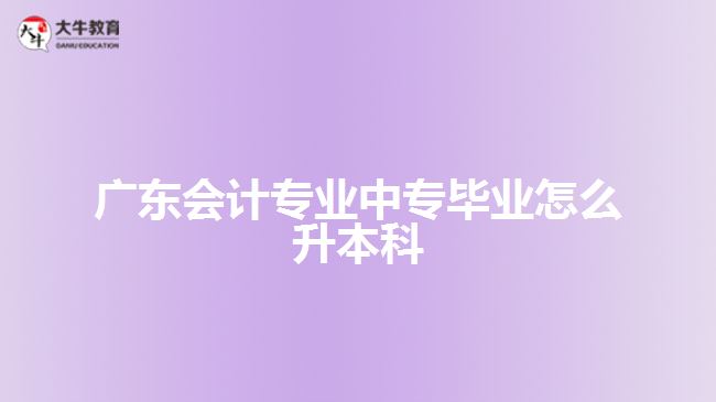 廣東會計(jì)專業(yè)中專畢業(yè)怎么升本科