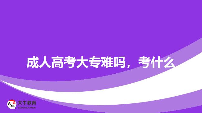 成人高考大專難嗎，考什么