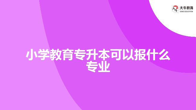 小學(xué)教育專(zhuān)升本可以報(bào)什么專(zhuān)業(yè)