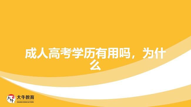 成人高考學(xué)歷有用嗎，為什么