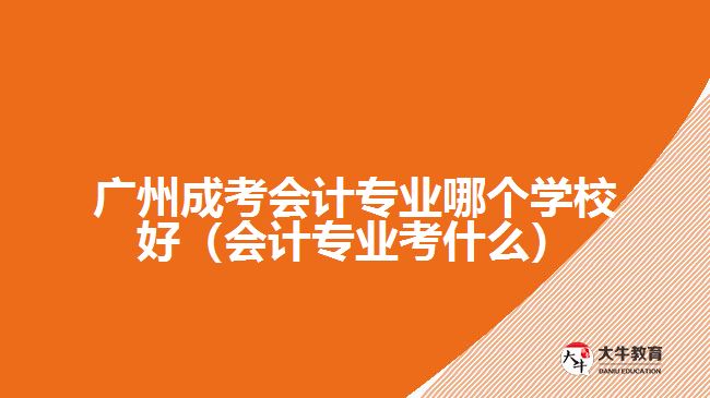 廣州成考會計專業(yè)哪個學(xué)校好（會計專業(yè)考什么）