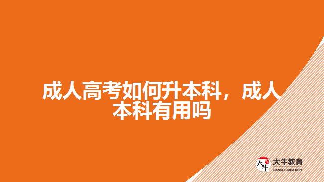 成人高考如何升本科，成人本科有用嗎