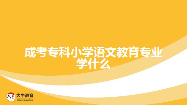 成考專(zhuān)科小學(xué)語(yǔ)文教育專(zhuān)業(yè)學(xué)什么