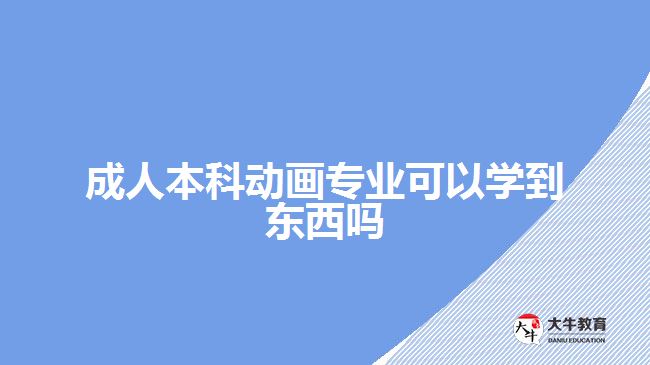 成人本科動(dòng)畫(huà)專(zhuān)業(yè)可以學(xué)到東西嗎