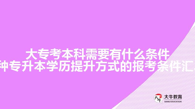 大?？急究菩枰惺裁礂l件
