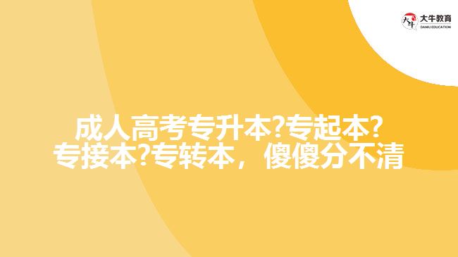 成人高考專升本?專起本?專接本?專轉(zhuǎn)本，傻傻分不清