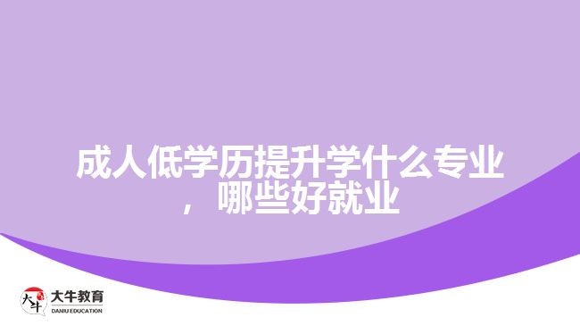 成人低學歷提升學什么專業(yè)，哪些好就業(yè)