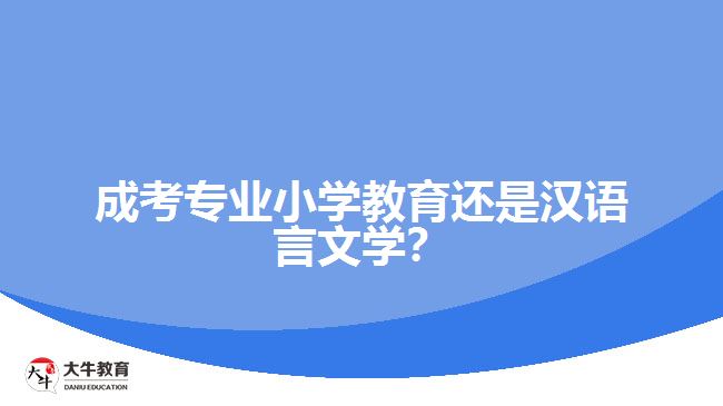成考專業(yè)小學教育還是漢語言文學？