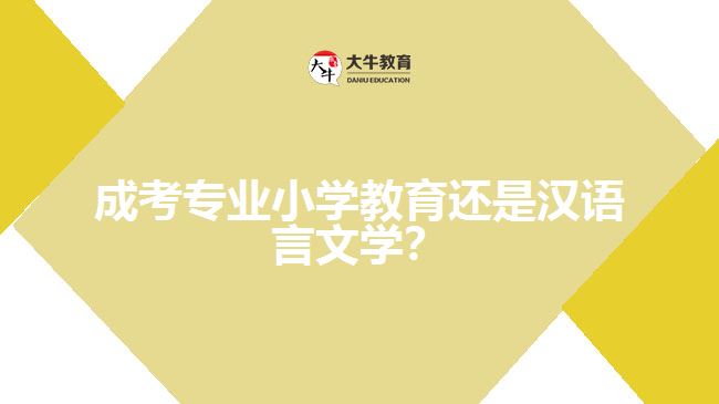 成考小學(xué)教育還是漢語言文學(xué)？