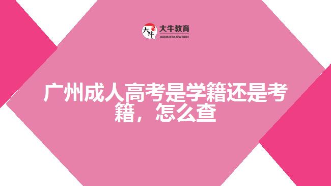 廣州成人高考是學(xué)籍還是考籍，怎么查