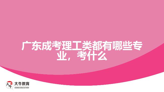 成考理工類都有哪些專業(yè)，考什么