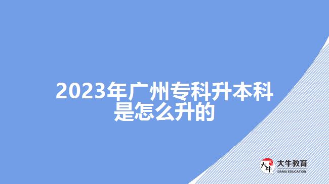 2023年廣州?？粕究剖窃趺瓷? /></div>
<p>　　成人高考專升本、自考專升本和開放大學(xué)專升本，都屬于成人教育專升本，是非全日制教學(xué)模式，適合社會在職、從業(yè)人員和社會其他人員報考，不需要脫離生成，可利用自己空閑的時間業(yè)余學(xué)習(xí)。</p>
<p>　　成考專升本，適合已經(jīng)取得畢業(yè)證的?？飘厴I(yè)生報考，報廣州2023年成人高考可在9月份網(wǎng)上報名，考生參加入學(xué)考試，成人高校根據(jù)考試分?jǐn)?shù)擇優(yōu)錄取。通過成考而取得入學(xué)資格，經(jīng)過2.5年學(xué)制或3年學(xué)制在校學(xué)習(xí)，達到畢業(yè)要求，可取得學(xué)校頒發(fā)的本科畢業(yè)證。</p>
<p>　　自考沒有學(xué)歷、年齡等報名限制，專科在讀或?qū)？飘厴I(yè)的考生，都可以選擇自考專升本考取本科學(xué)歷。報名自考，考生可自學(xué)也可以報班學(xué)習(xí)，再一門課程一門課程參加考試，所有科目合格后且具備有大專學(xué)歷，可申請畢業(yè)。</p>
<p>　　【推薦閱讀：<a href=
