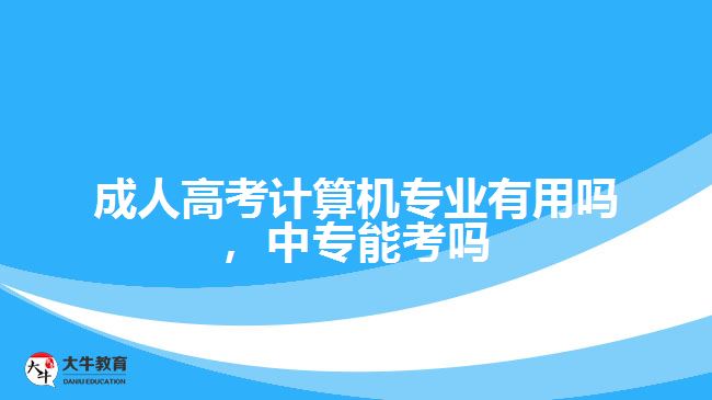 成考計算機專業(yè)有用嗎，中專能考嗎